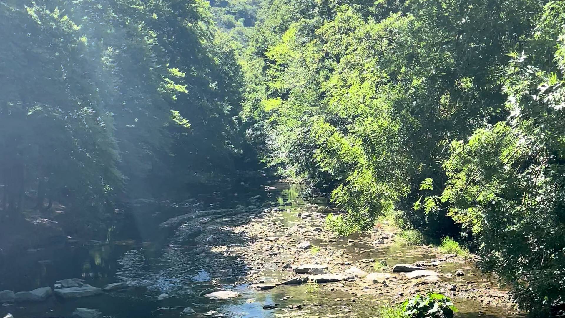 Sonnenlicht fällt in ein bewaldetes Bachtal mit Kiesbett